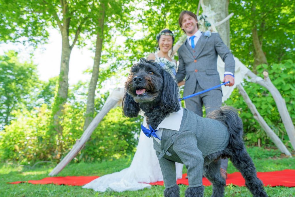 白馬岩岳マウンテンリゾート　結婚式　ペット　犬